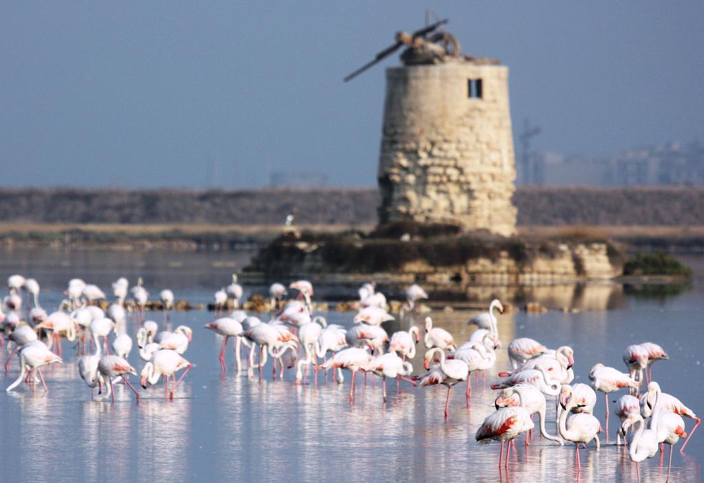 Appartamenti Trapani Mare Zewnętrze zdjęcie